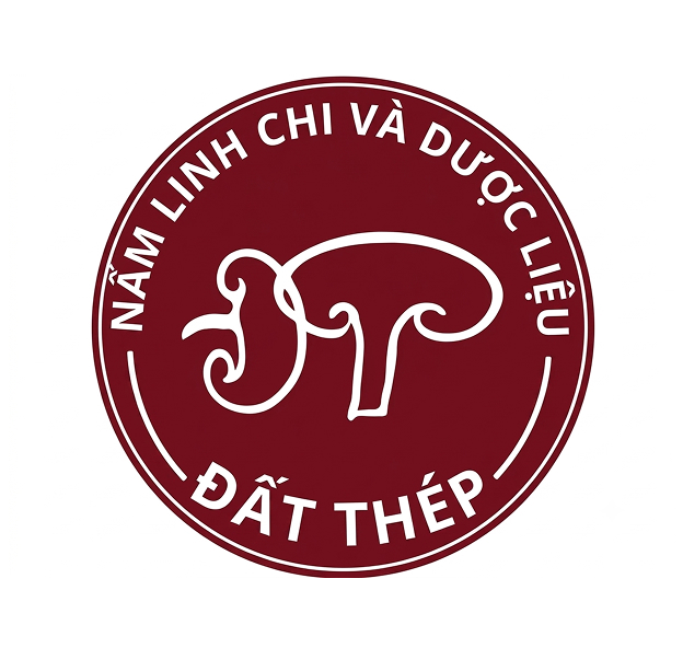 DAT THEP