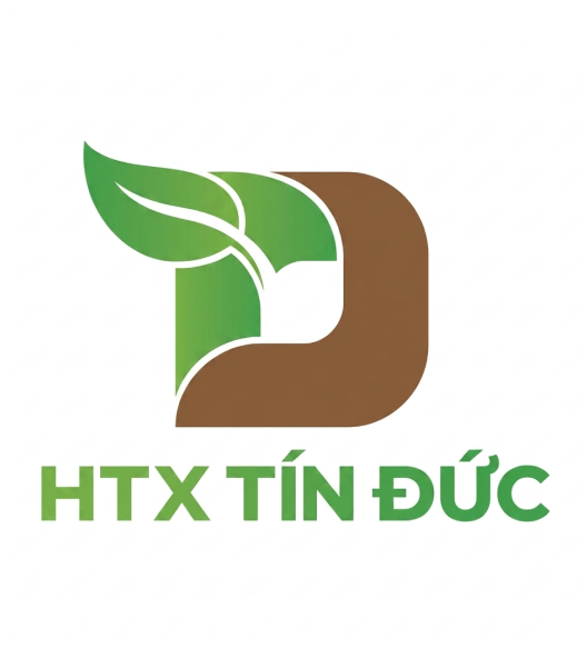 TIN DUC